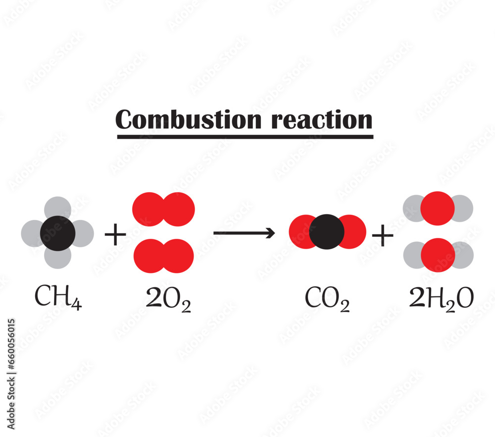 Example Of Combustion Chemical Reaction