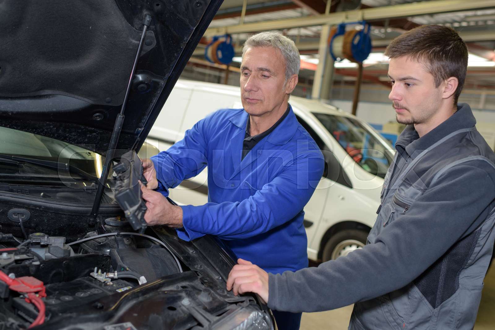 A Trained Automobile Mechanic Would Be An Example Of This