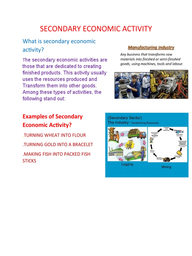Example Of A Secondary Economic Activity