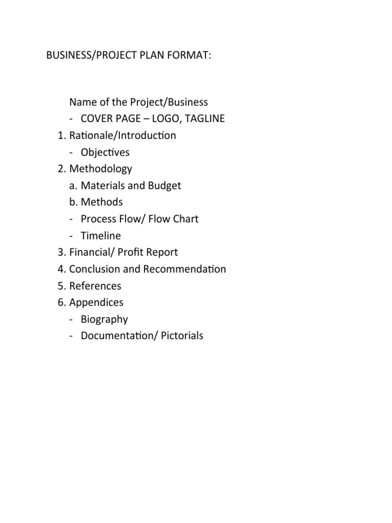 Example Of Business Plan Format