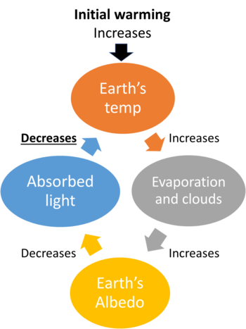 Example Of A Negative Feedback