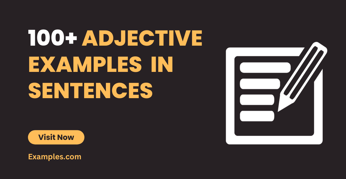 Example Of A Sentence With An Adjective