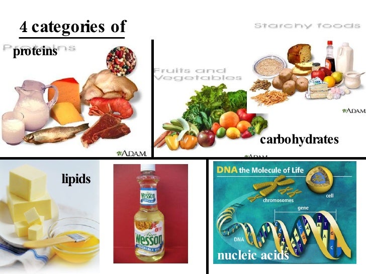 Example Of A Nucleic Acid In Food