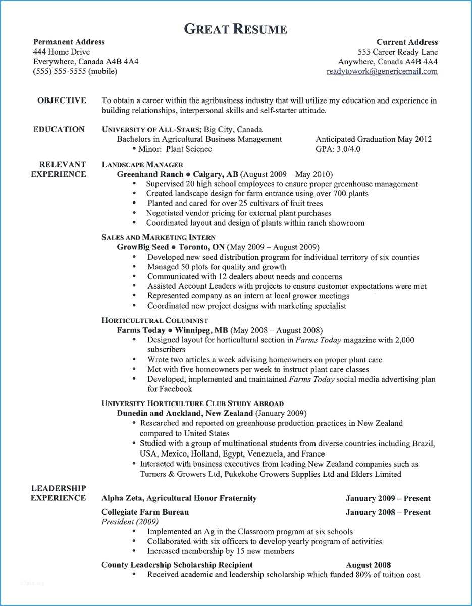 Example Of A Great Resume