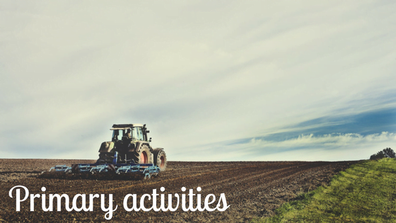 Example Of A Primary Economic Activity