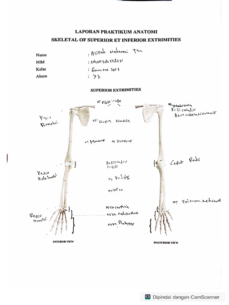 What Does Unremarkable Mean in Medical Terminology?