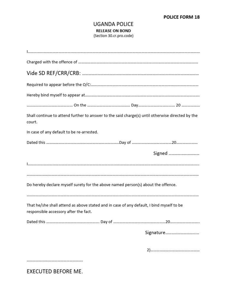 What Does Bonded Out Mean? Jail Release Explained