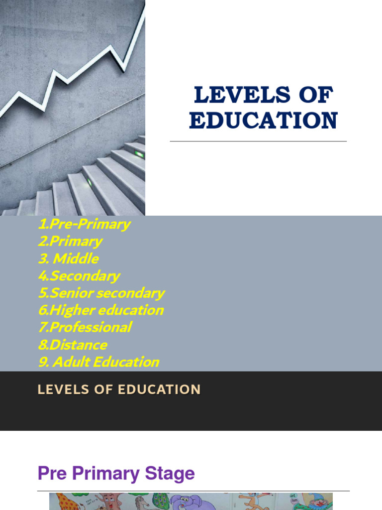 What Does Some College Mean? Education Levels Explained
