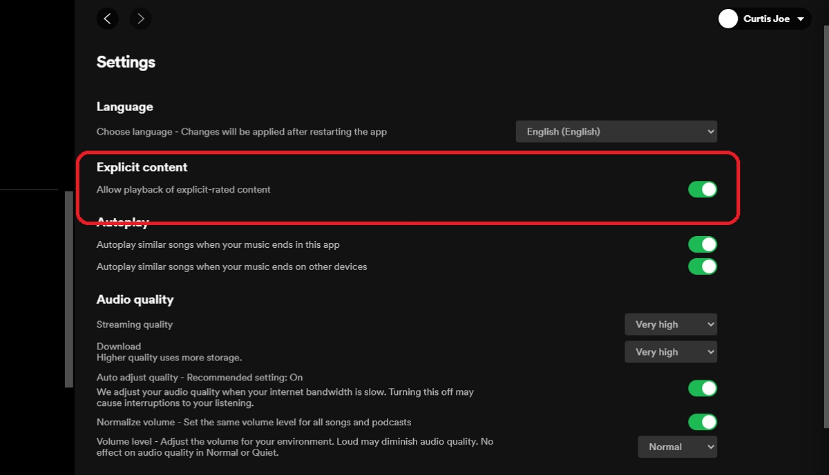 What Does the E Mean in Spotify? Music Features Explained