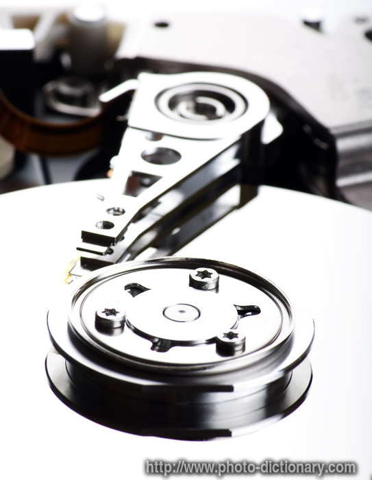 What Does I Am Winchester Mean? Phrase Origins Explained