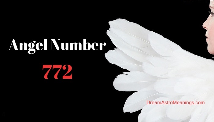 What Does 772 Mean? Symbolism and Common Meanings
