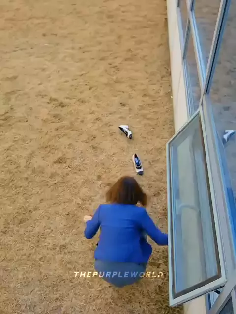 What Does a Purple Border Mean in Pokerogue? Game Symbols Explained