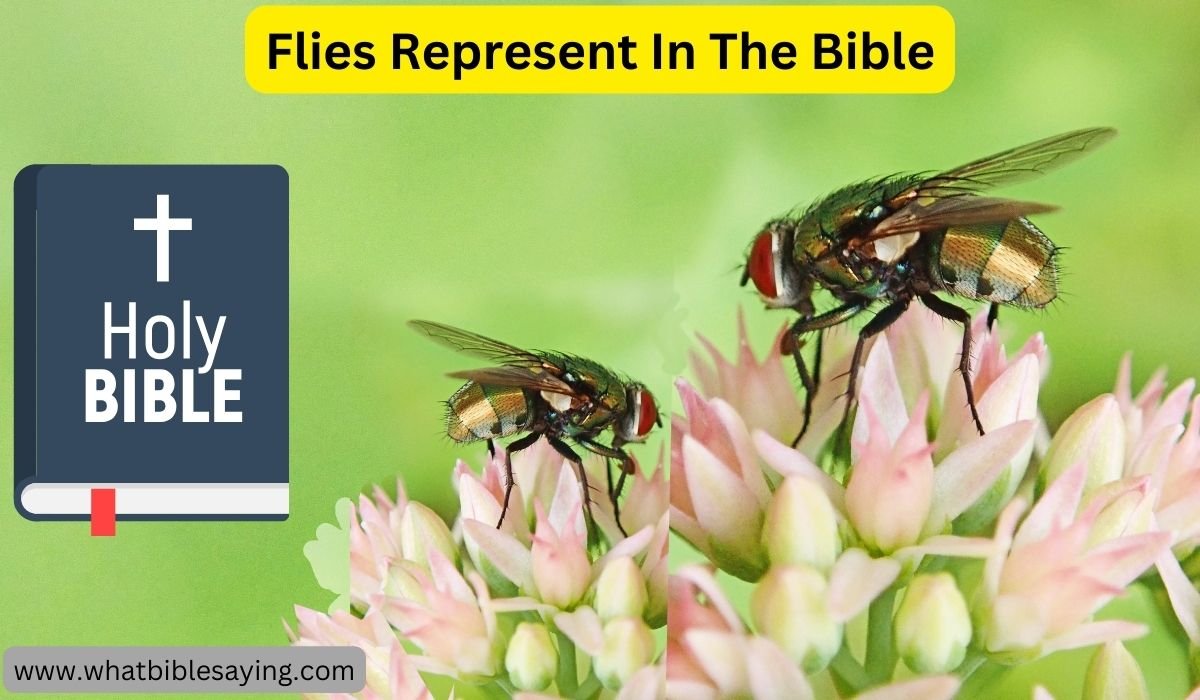 What Does the Number 4 Mean Biblically?