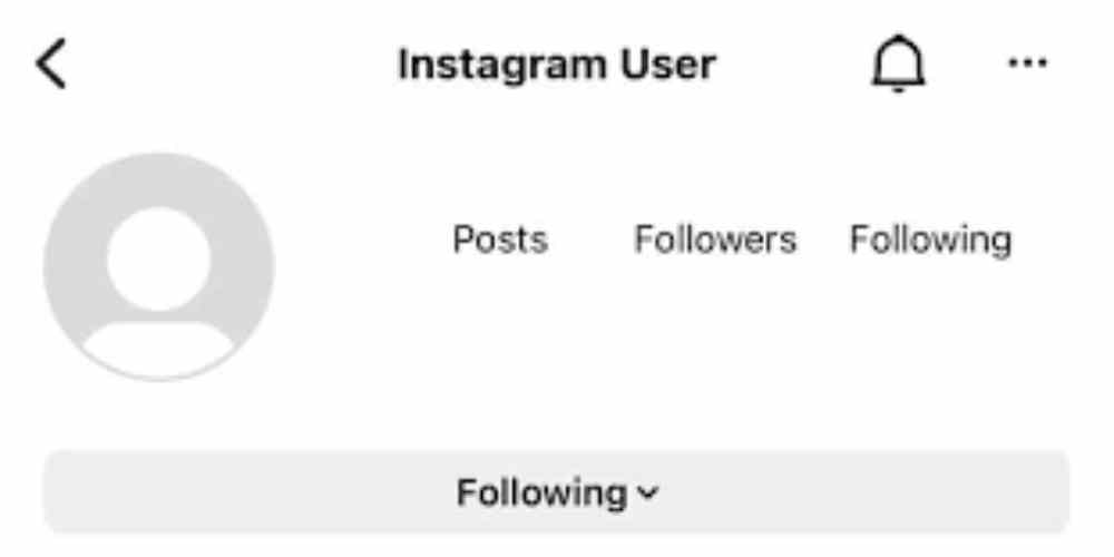 What Does It Mean When It Says Instagram User?