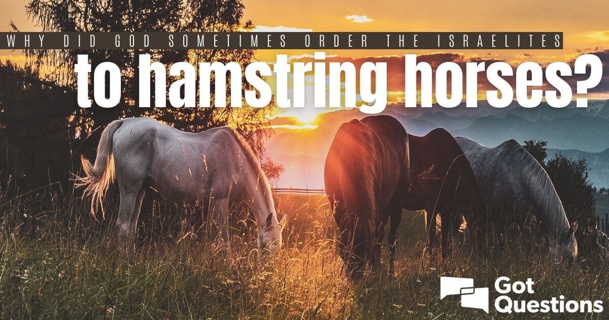 What Does It Mean to Hamstring a Horse? Origins and Meaning
