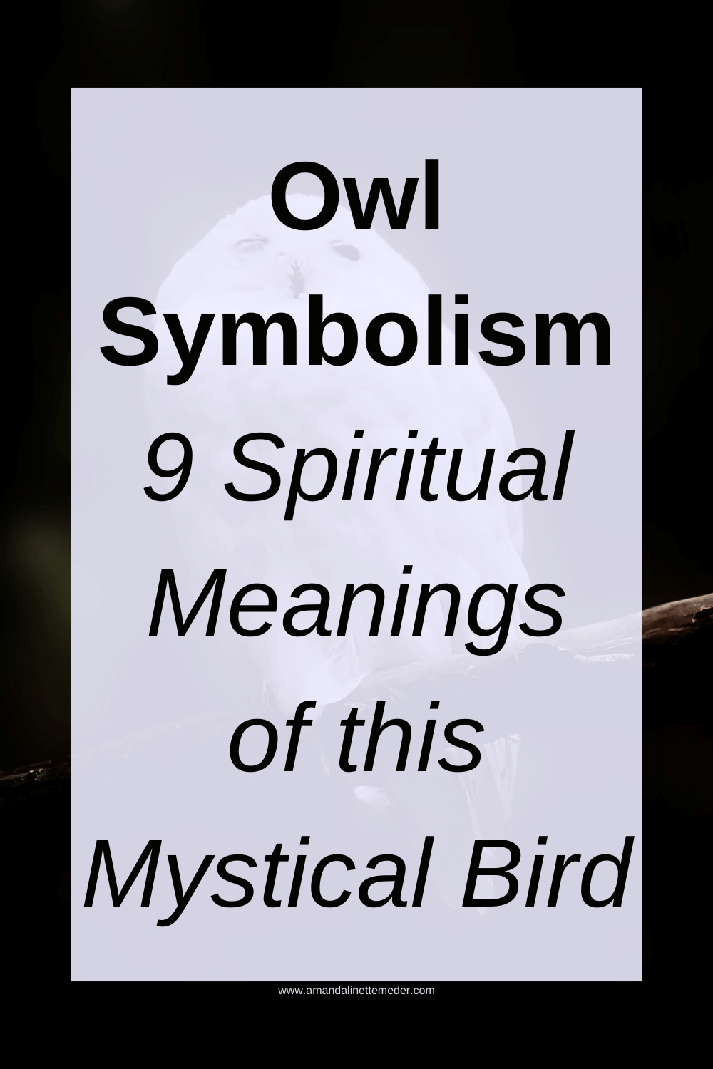 What Does Seeing a White Owl Mean? Spiritual Symbolism Explained