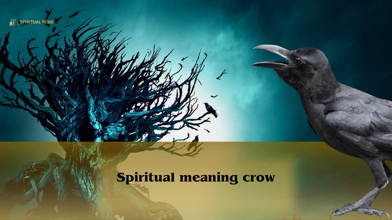 What Does It Mean When a Crow Follows You? Spiritual Meaning Explained