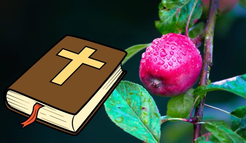 What Does It Mean to Bear Fruit in the Bible? Spiritual Meaning