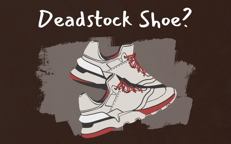 What Does DS Mean in Shoes? Sneaker Terms Decoded