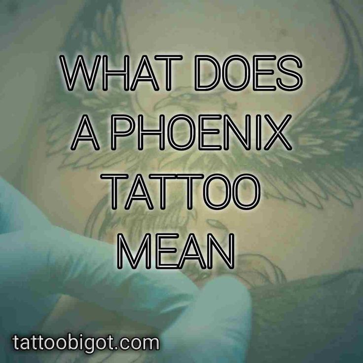 What Does a Phoenix Tattoo Mean? Symbolism and Rebirth