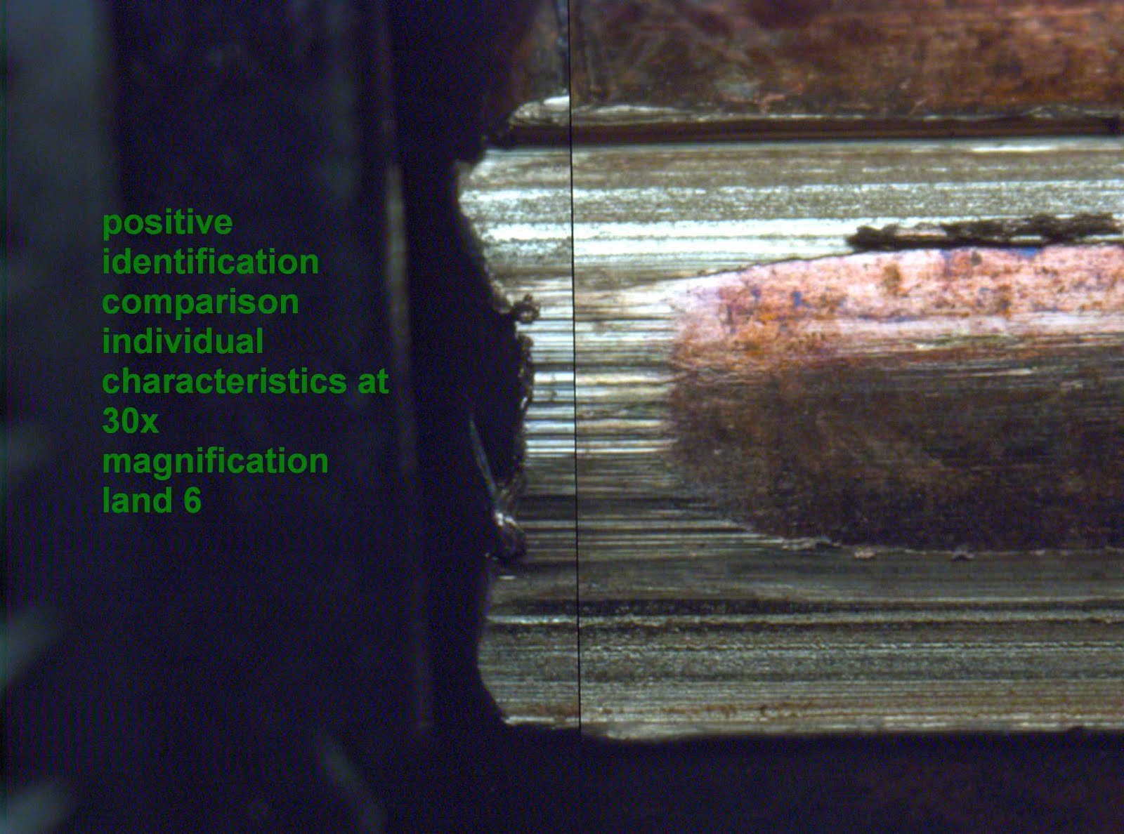 What Does Grain in Bullets Mean? Ballistics Basics Made Simple