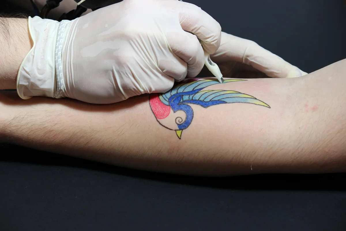 What Do Swallow Tattoos Mean? Sailor Symbolism Explained