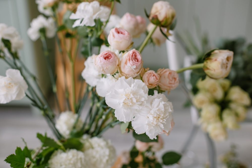 What Does a White Flower Mean? Symbolism Across Cultures