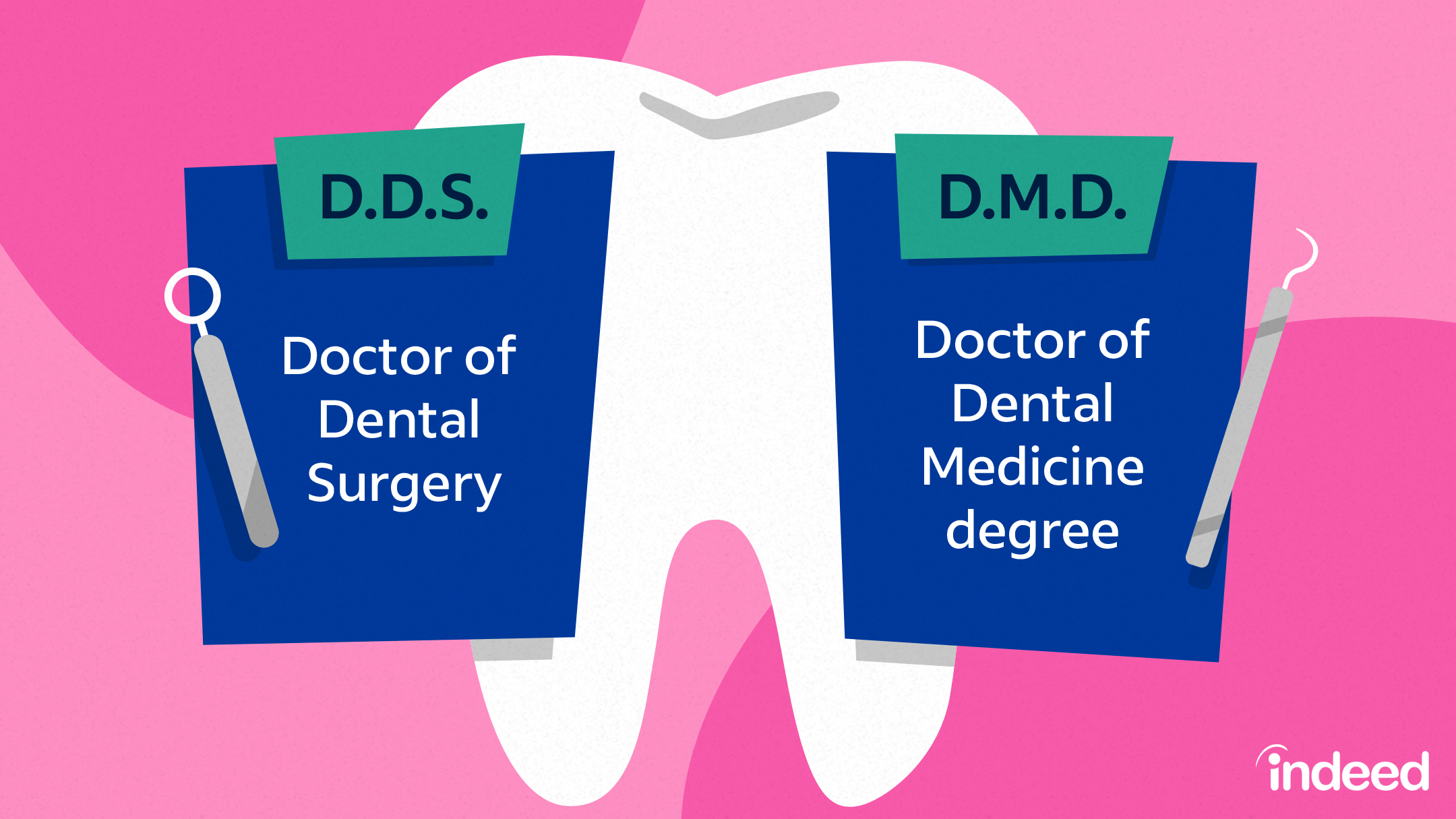 What Does DMD Mean in Dentistry? Dental Degrees Explained