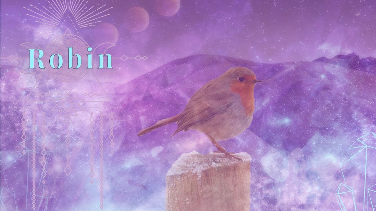 What Does It Mean When You See a Red Robin? Spiritual Meaning