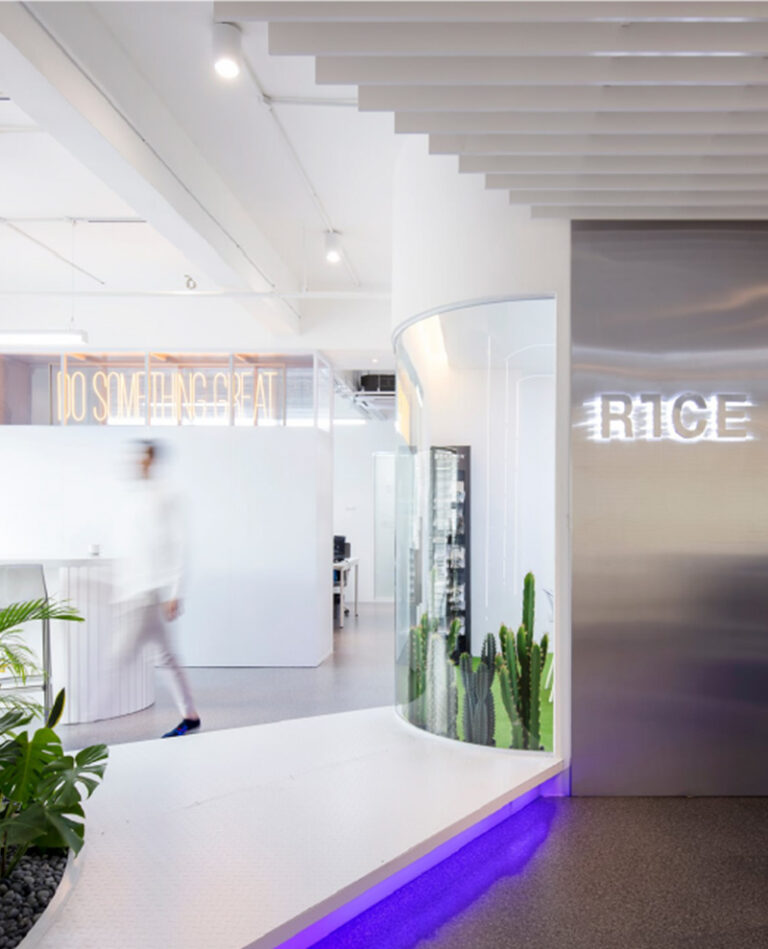 What Does Rice Design Rims Mean? Wheel Branding Explained