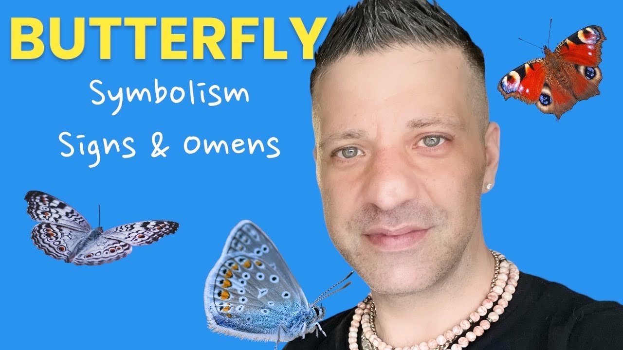 What Does It Mean When You See a Monarch Butterfly? Spiritual Meaning