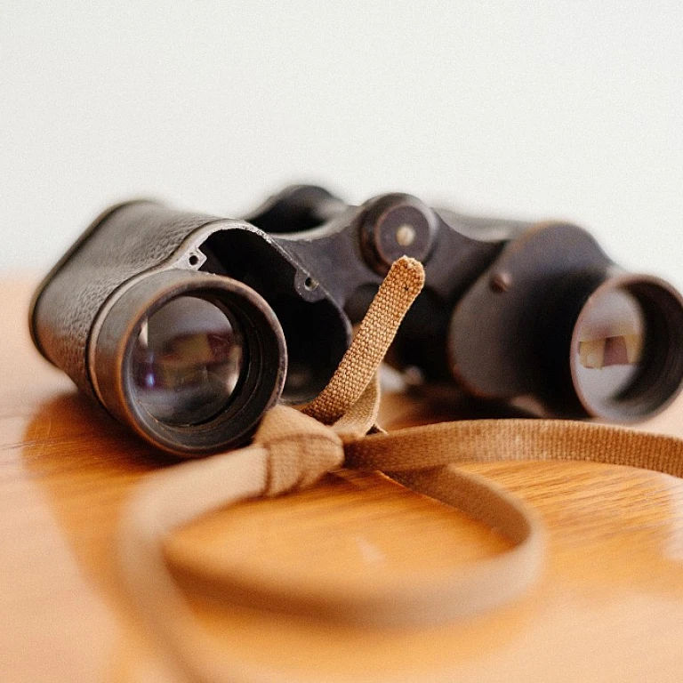 What Does Backfilling a Position Mean? Hiring and HR Explained