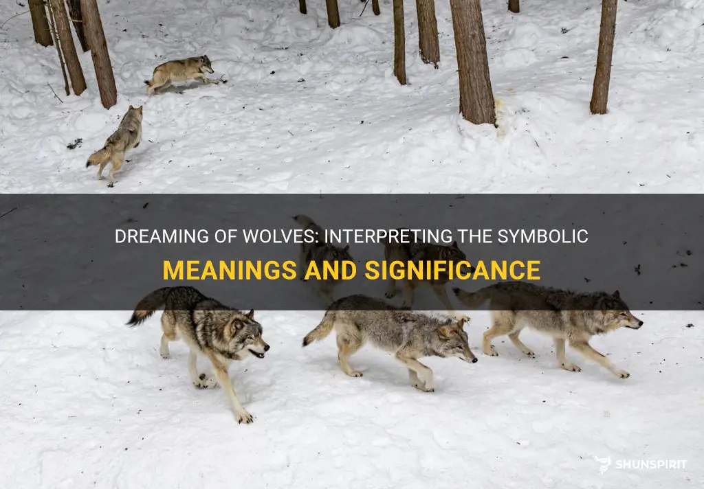 What Does It Mean to Dream About Wolves? Power and Instinct Explained